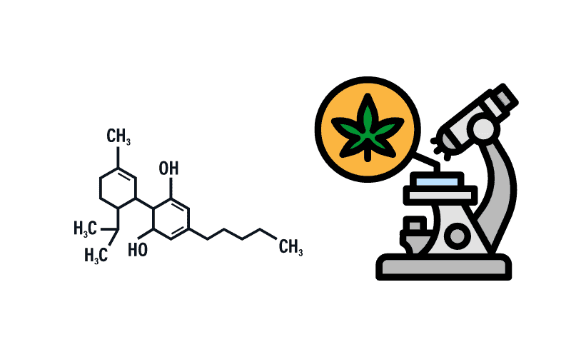 how much thc does cbd oil have
